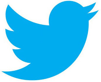 twitter bird